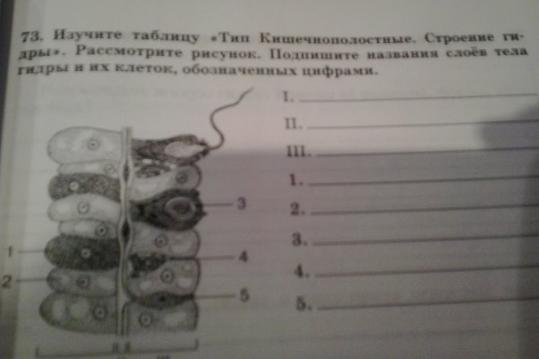 Кракен через обычный браузер
